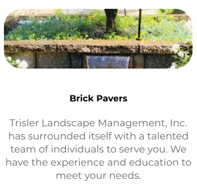 Brick Pavers Trisler Landscape Management, Inc. has surrounded itself with a talented team of individuals to serve you. We have the experience and education to meet your needs.