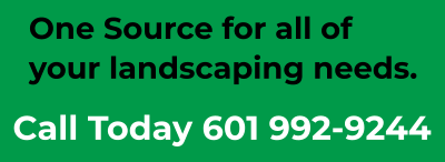 Call Today 601 992-9244 One Source for all of your landscaping needs.