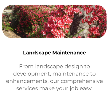 Landscape Maintenance From landscape design to development, maintenance to enhancements, our comprehensive services make your job easy.
