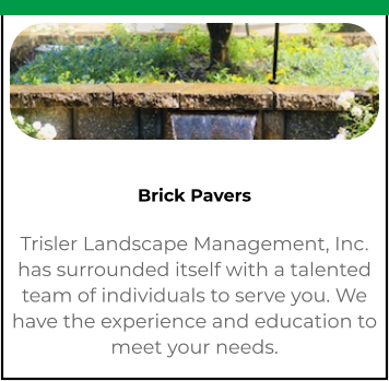 Brick Pavers Trisler Landscape Management, Inc. has surrounded itself with a talented team of individuals to serve you. We have the experience and education to meet your needs.