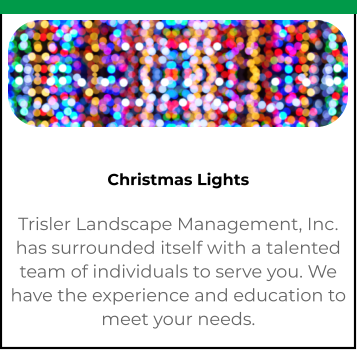 Christmas Lights Trisler Landscape Management, Inc. has surrounded itself with a talented team of individuals to serve you. We have the experience and education to meet your needs.