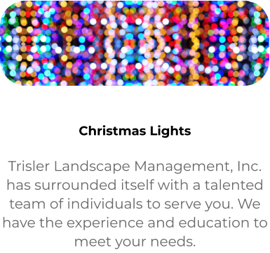 Christmas Lights Trisler Landscape Management, Inc. has surrounded itself with a talented team of individuals to serve you. We have the experience and education to meet your needs.